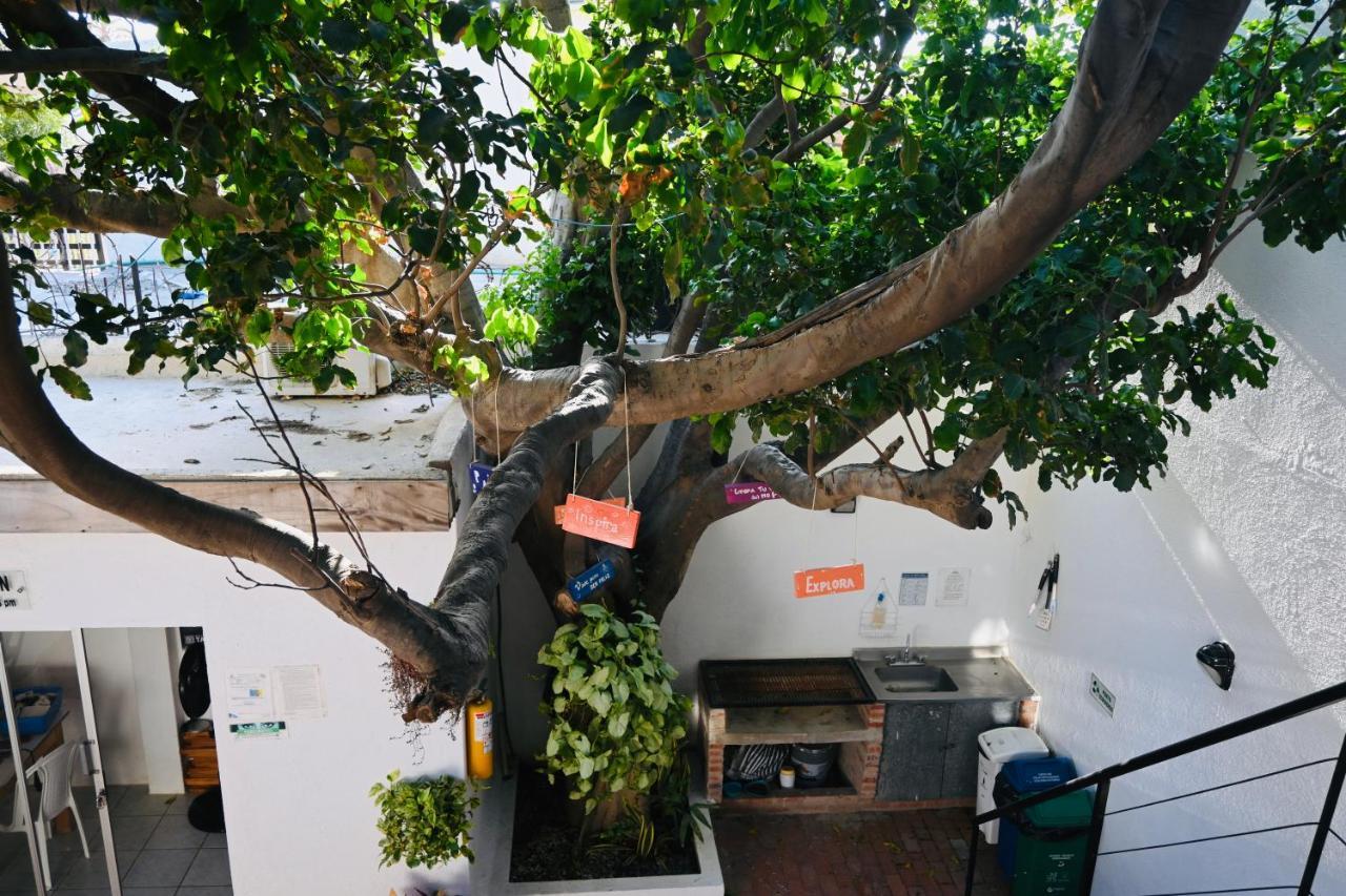 Ocean Lovers Hostel & Apartments Taganga Exterior photo